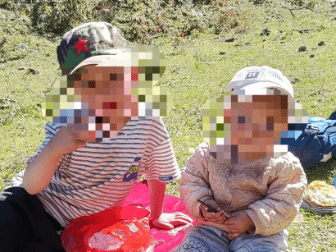 两年幼孩子被胡蜂蜇亡 孩子父亲：没有义务共情养蜂人