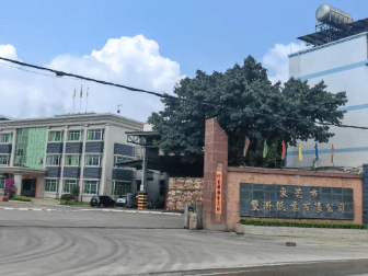 女子称父亲离世6亿遗产都归继母 自己和兄妹分文未得